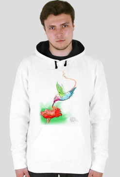 Hummingbird