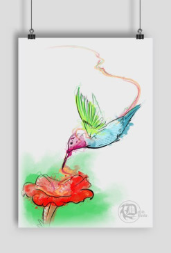 Hummingbird