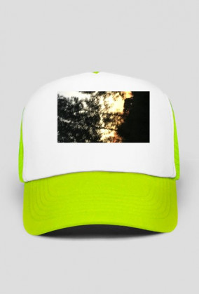 Trees-Sory for my english