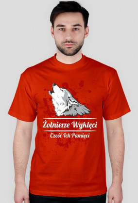 Żołnierze Wyklęci