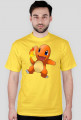 Charmander #1