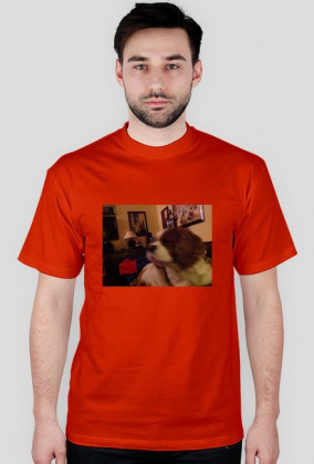 koszuleczka na przecenie