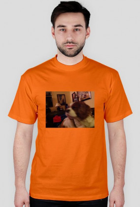 koszuleczka na przecenie