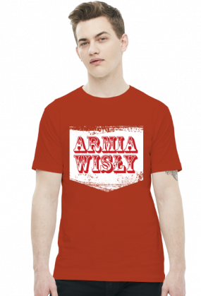 Koszulka: Wisła Kraków - Armia Wisły