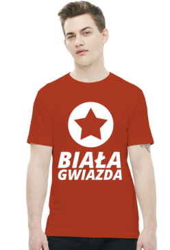 Koszulka: Wisła Kraków - Biała Gwiazda