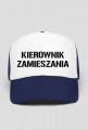 KIEROWNIK ZAMIESZANIA