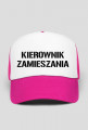 KIEROWNIK ZAMIESZANIA