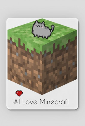 Minecraft_Podkładka oraz NainCat