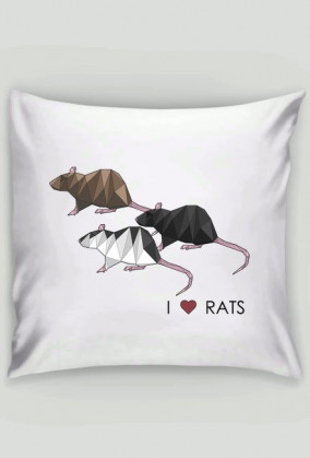 poduszka I love RATS 2