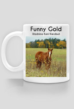 Funny Gold - Stadnina Koni Kierzbuń