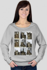 Bluza śpiewający kot