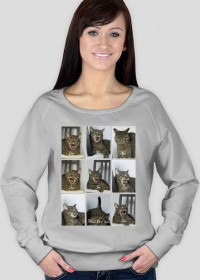Bluza śpiewający kot