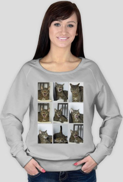 Bluza śpiewający kot