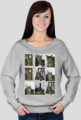 Bluza śpiewający kot