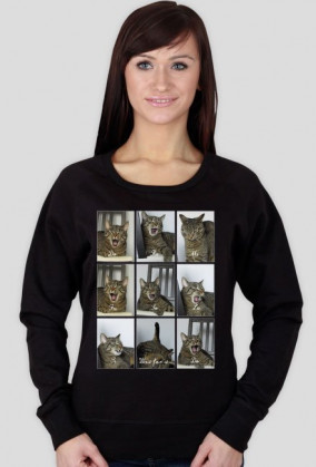Bluza śpiewający kot