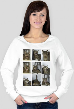 Bluza śpiewający kot