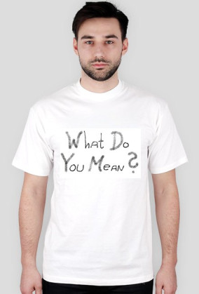 What Do You Mean ?