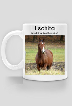 Lechita - Stadnina Koni Kierzbuń