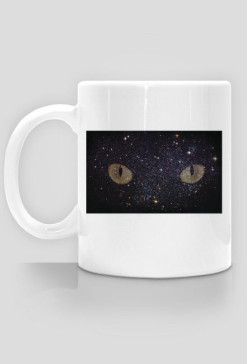 star cat