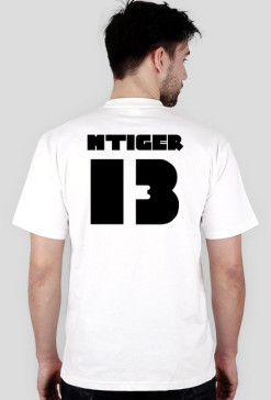Guns IMTiger