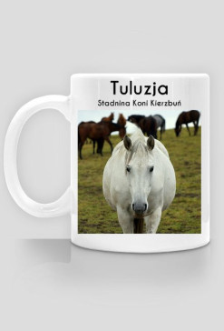 Tuluzja - Stadnina Koni Kierzbuń
