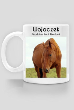 Wojaczek - Stadnina Koni Kierzbuń