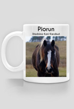 Piorun - Stadnina Koni Kierzbuń