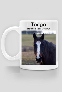 Tango - Stadnina Koni Kierzbuń