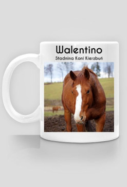 Walentino - Stadnina Koni Kierzbuń