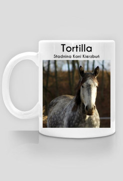 Tortilla - Stadnina Koni Kierzbuń