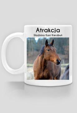 Atrakcja - Stadnina Koni Kierzbuń