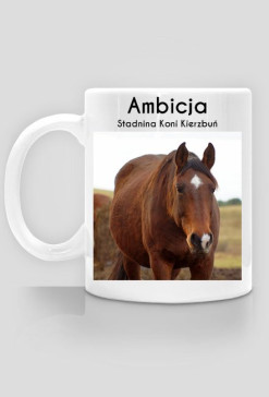 Ambicja - Stadnina Koni Kierzbuń