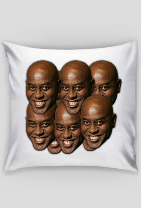 PODUSZKA AINSLEY HARRIOT