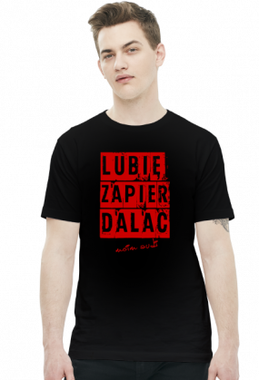 'Lubię zapier* moim Audi' koszulka męska