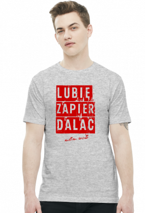 'Lubię zapier* moim Audi' koszulka męska
