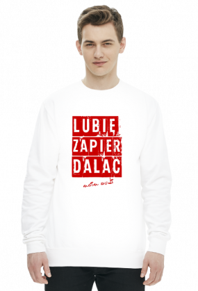 'Lubię Zapier* moim Audi' bluza męska,bez kaptura