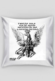 POSZEWKA Z MOTYWEM PATRIOTYCZNYM