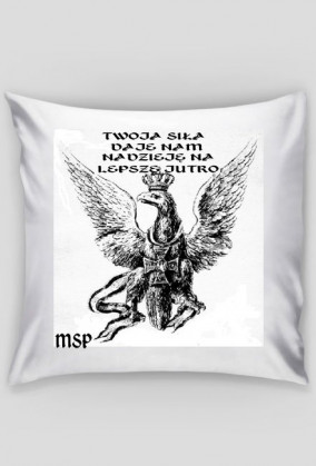 POSZEWKA Z MOTYWEM PATRIOTYCZNYM