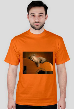 kot-gitara