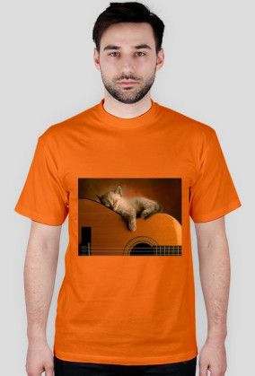 kot-gitara