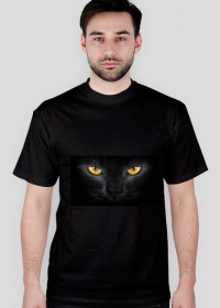 kot żółte oczy -czarna