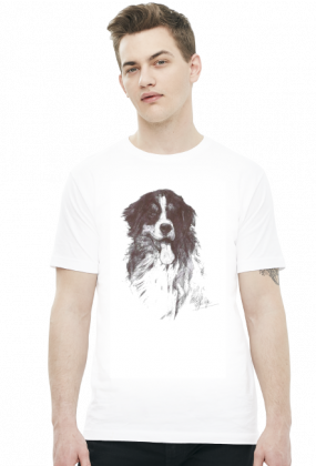 T-shirt męski Berneńczyk 5XL