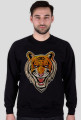 Bluza Tygrys