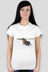 kot w śniegu-biała