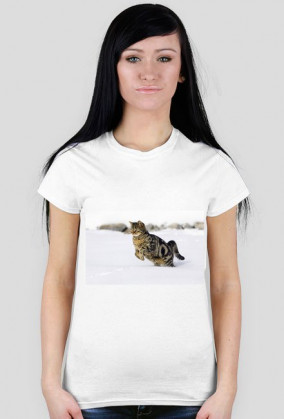 kot w śniegu-biała