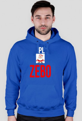 Bluza