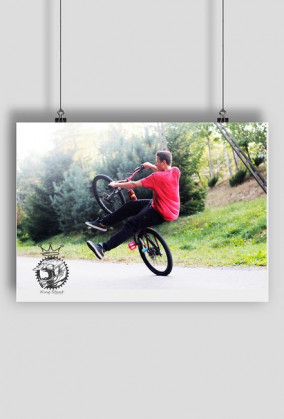 Plakat z grafiką 2 KING STUNT