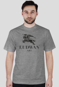 Ludwan x Burberry