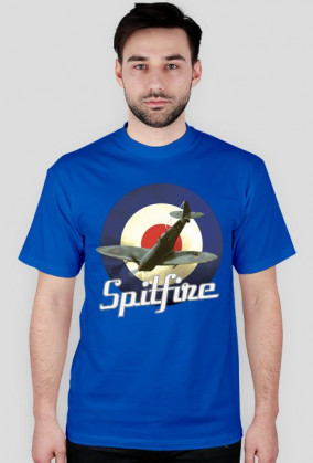 Spitfire RAF