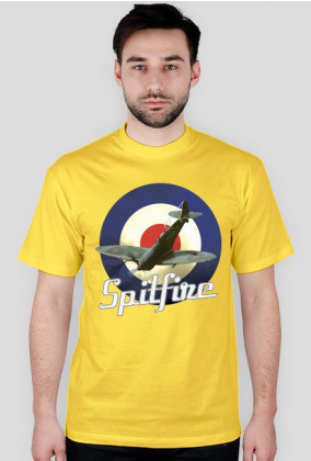 Spitfire RAF